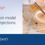 HypoSkin ex vivo human skin model to predict toxicity and efficacy of subcutaneous drugs