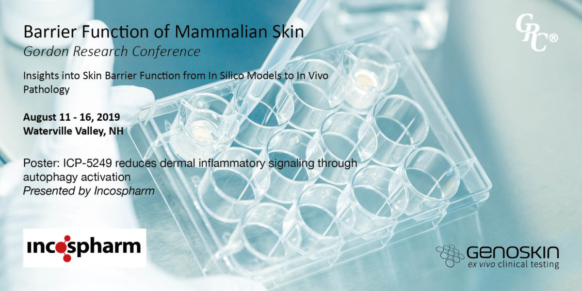 Illustration with Inflammaskin model in the background and a text 'Barrier Function of Mammalian Skin, Gordon Research Conference (GRC)