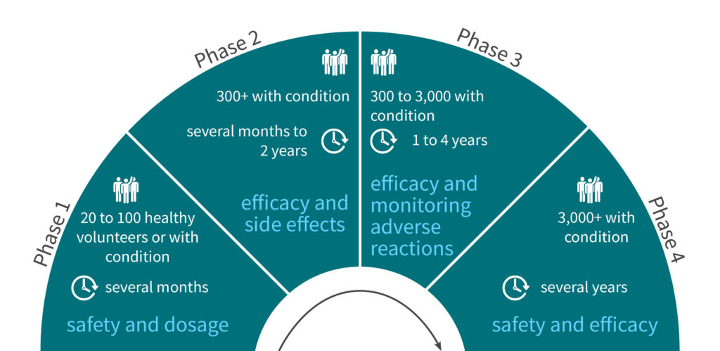 Scheme showing the 4 phases of clinical trials that are required for FDA approval