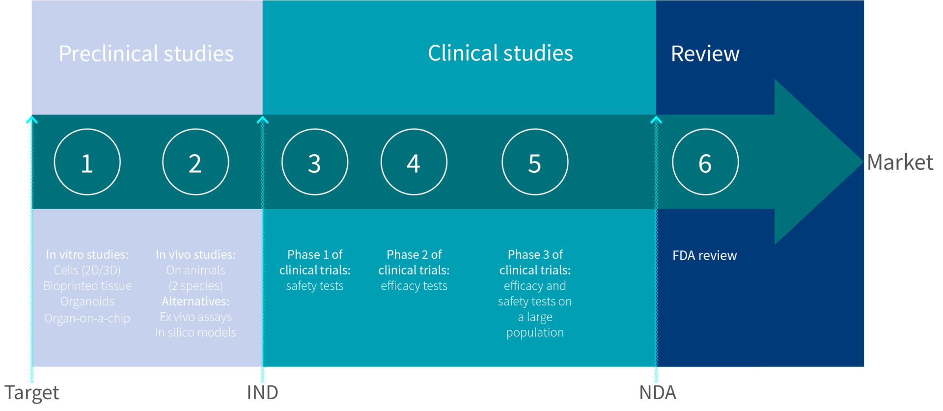 budget template for a drug development plan