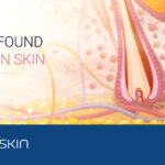 top things found in human skin vs in reconstructed human skin