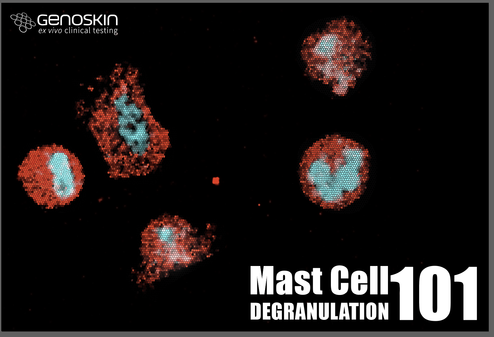 mast cells assays in pre clinical trials