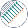 Degranulation screening