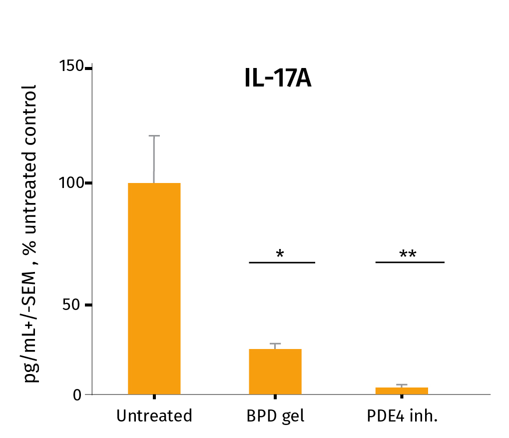 Anti-psoriasis study after topical administration IL-17A BDP-PDE4-100