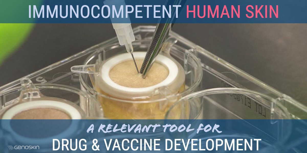 Immunocompetent human skin for drug and vaccine development