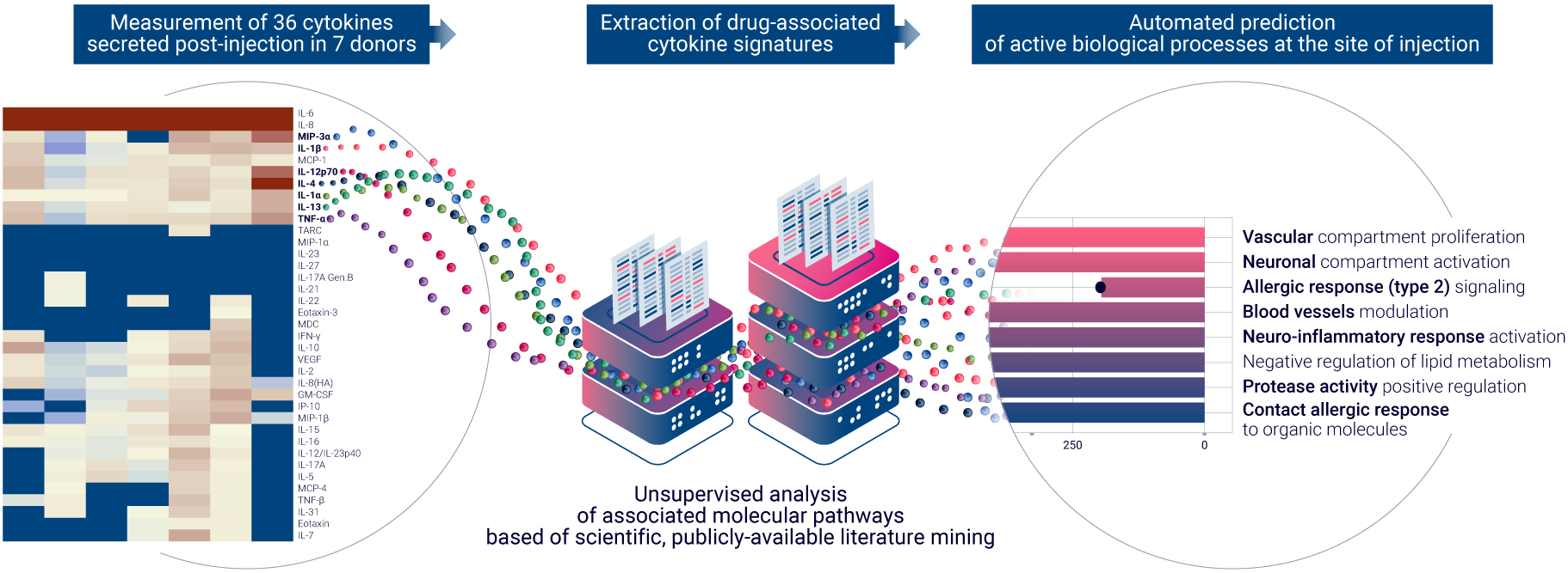 Visual representation of the process starting with the measurement of cytokines secreted after ex vivo injection of Cetrorelix in HypoSkin® technology, followed by advanced computational methods, leading to the identification and analysis of relevant biological pathways in the context of non clinical safety assessment