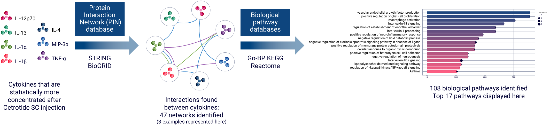 AUDACY is a bioinformatics application used to infer on interconnections between cytokines and understand biological pathways triggered buy a therapeutics injection into the skin