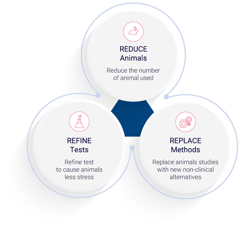 3Rs rule in drug development: Reduce the use of animal, Refine tests to decrease animal suffering, Replace traditional test with alternative animal-free methods