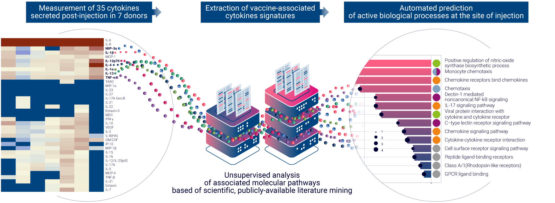 Evaluation of the vaccine candidate immunogenicity at the tissue level using multiplex cytokine analysis and bioinformatics.