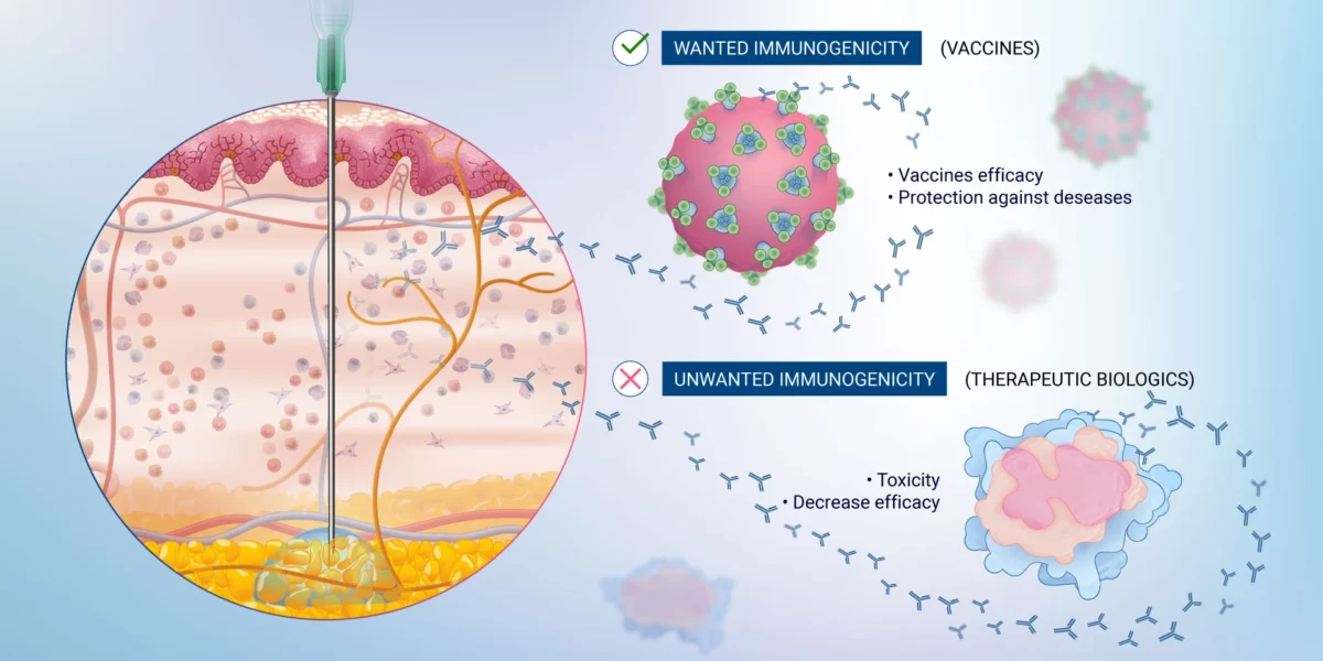 wanted immunogenicity versus unwanted immunogenicity