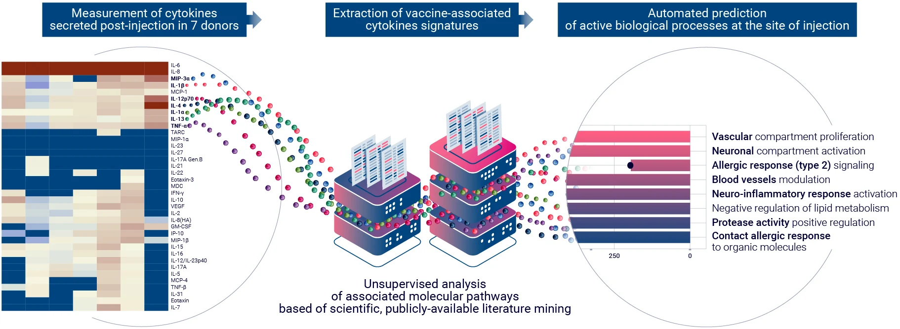 Evaluation of the vaccine candidate immunogenicity at the tissue level using multiplex cytokine analysis and bioinformatics.