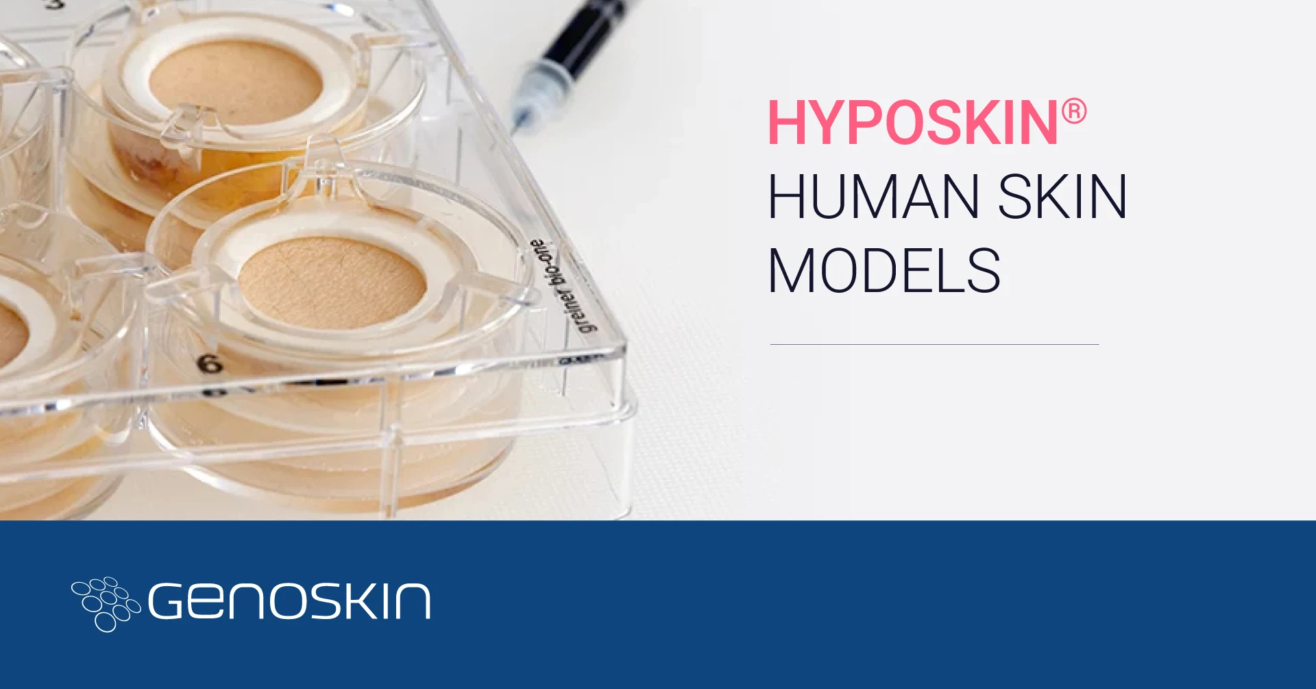 HypoSkin human skin model for subcutaneous injection studies