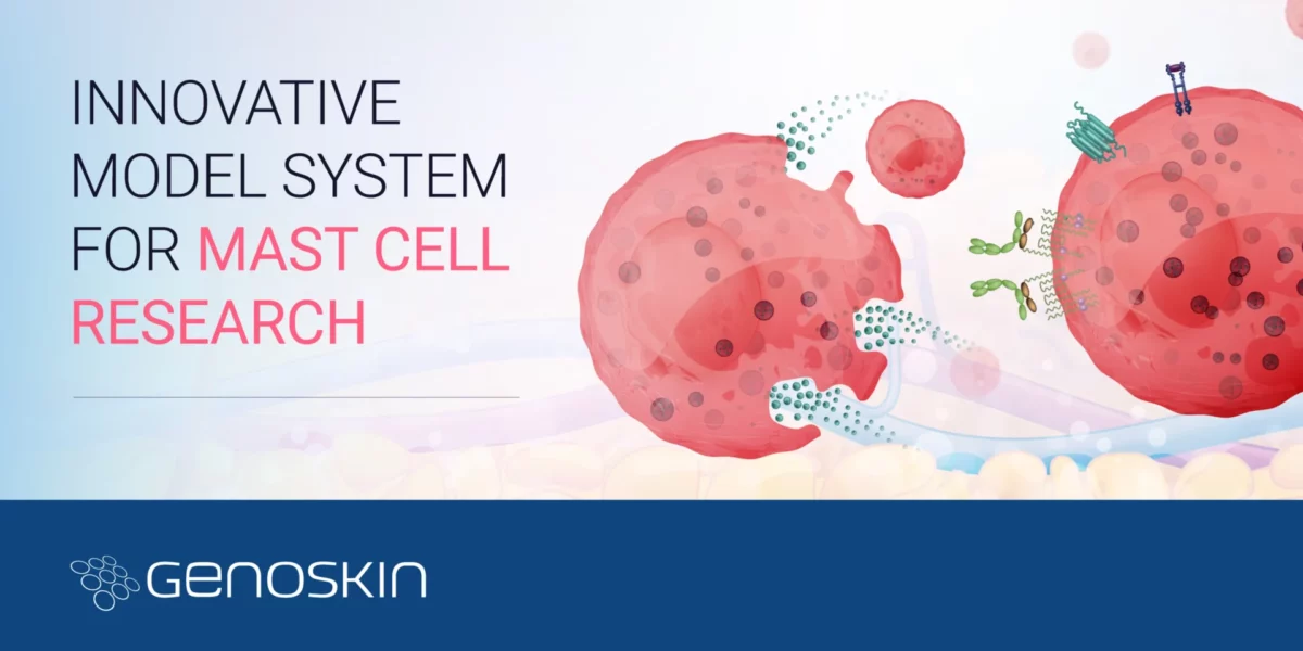 Innovative model system for mast cell research