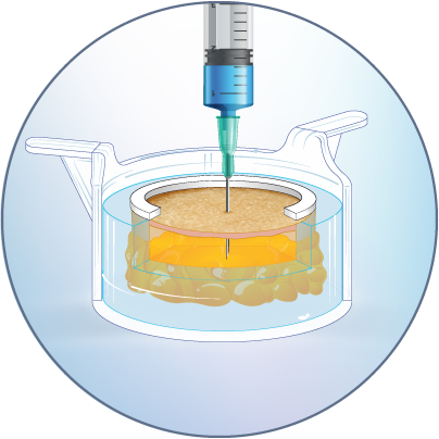 HypoSkin human skin model for subcutaneous injection studies