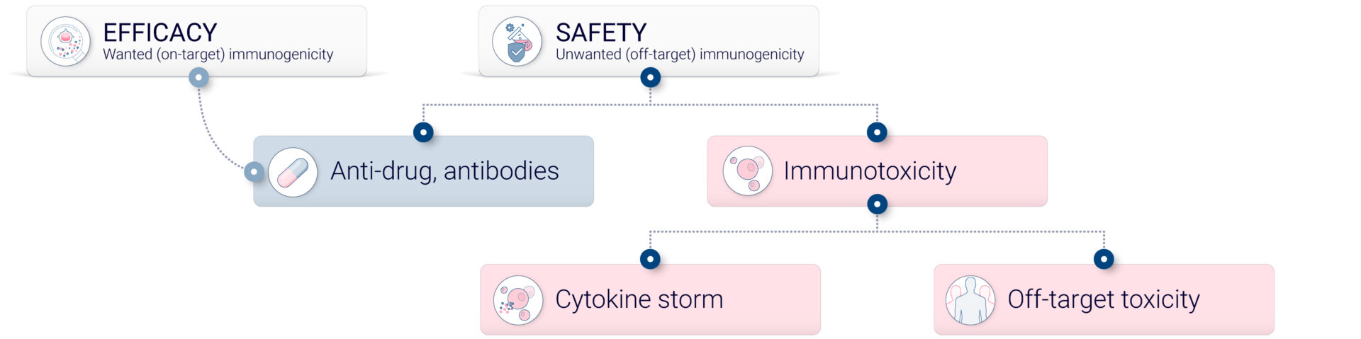 Understanding off-target immunogenicity
