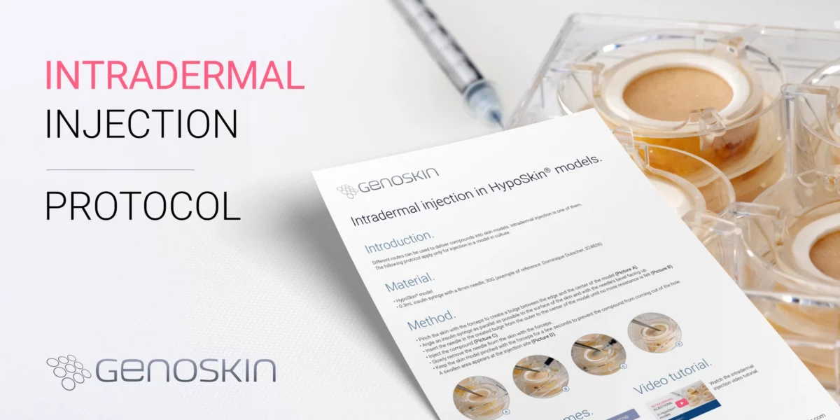 Intradermal injection in HypoSkin models