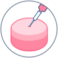 Genoskin applications and protocols