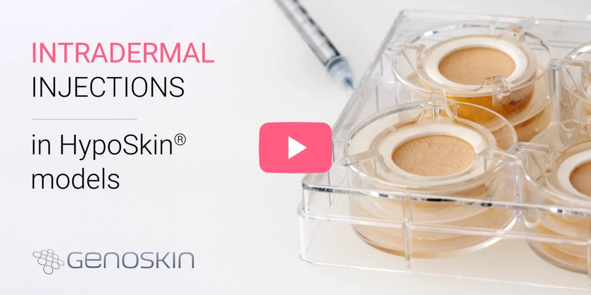 Tutorial Intradermal Injection in HypoSkin