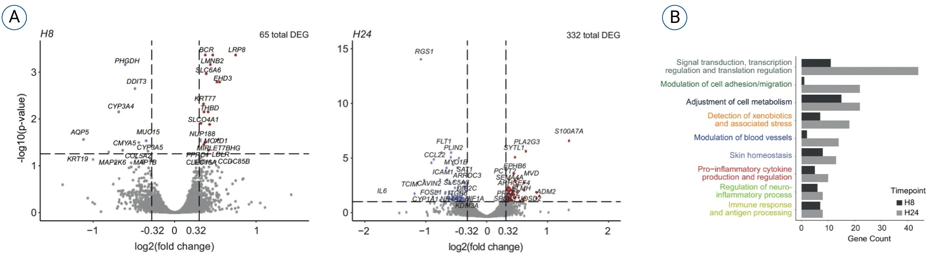 Bioinformatics based analysis of bulk RNA sequencing