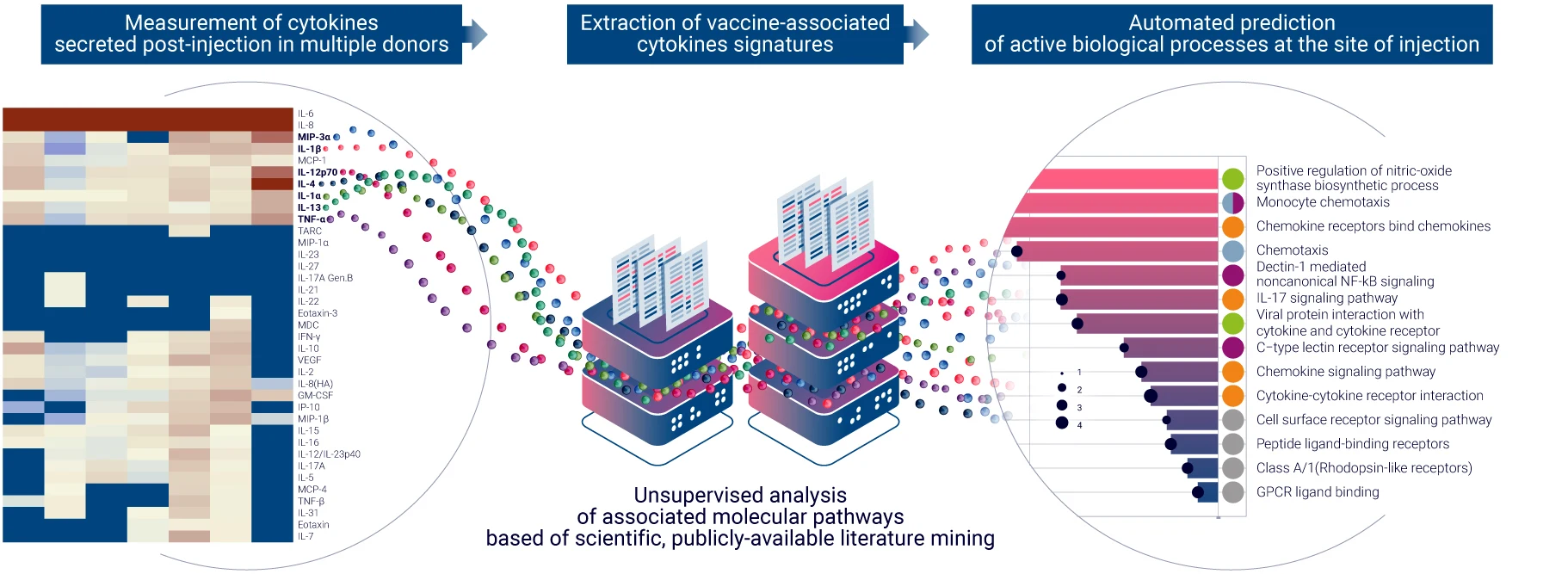 Evaluation of the vaccine candidate immunogenicity at the tissue level using multiplex cytokine analysis and bioinformatics