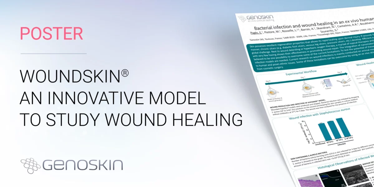 Woundskin an innovative model to study wound healing