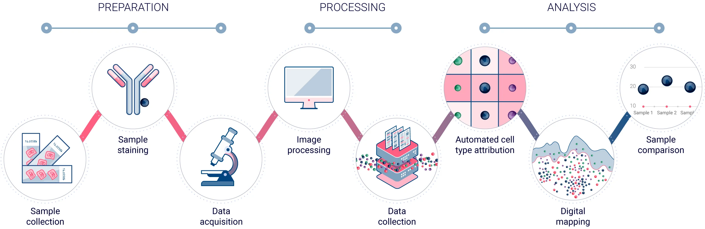 Mantis Spatial Biology Platform workflow