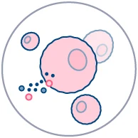 Toxicity assessment