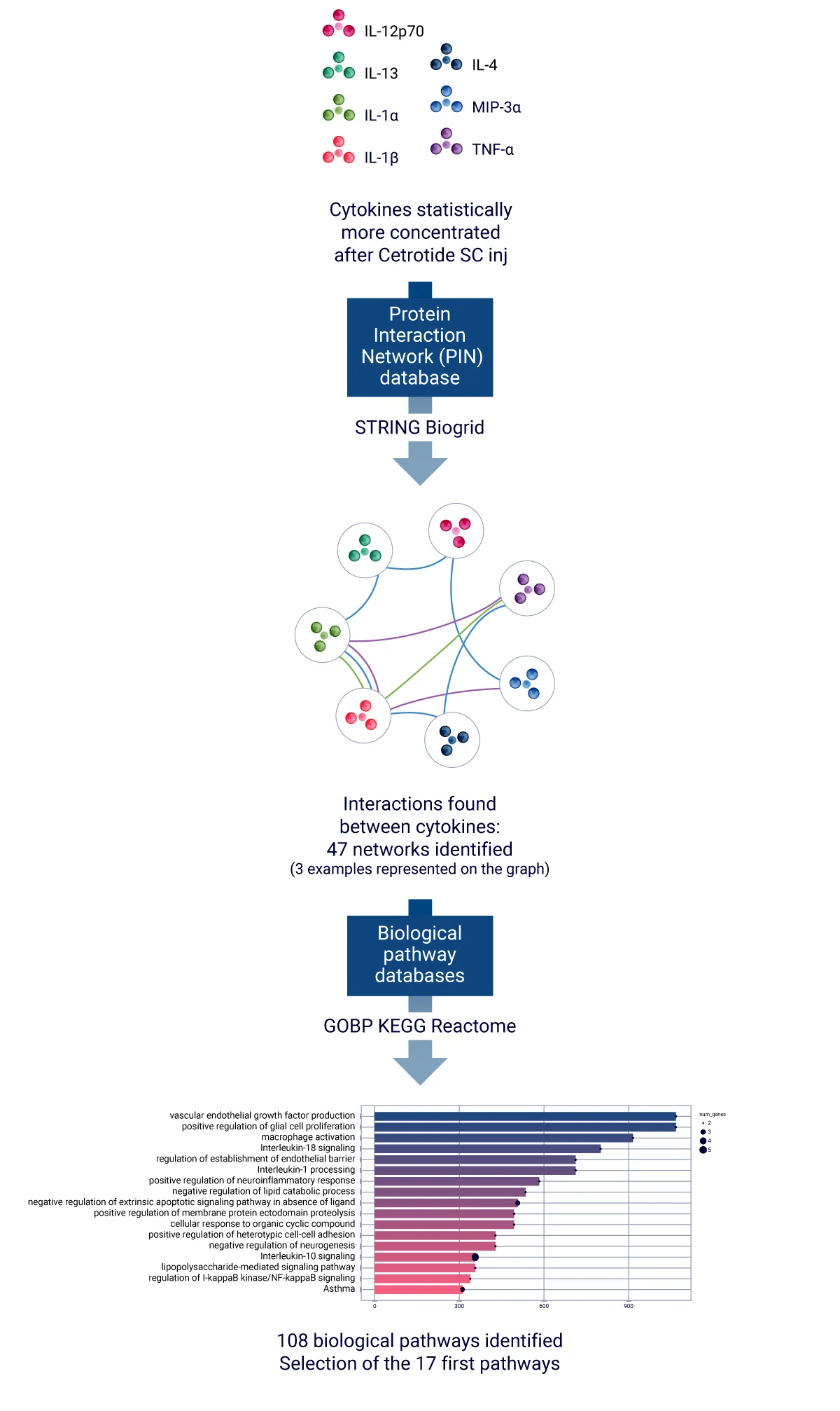 AUDACY a bioinformatics-based application to interpret large secretome dataset and infer on biological pathways triggered by a therapeutic compound injected in human skin