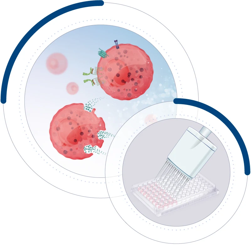 Functional Human primary mast cells for drug efficacy and toxicity testing