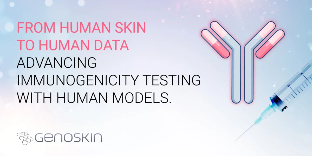 From human skin to human data: Advancing immunogenicity testing with human models