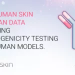 From human skin to human data: Advancing immunogenicity testing with human models