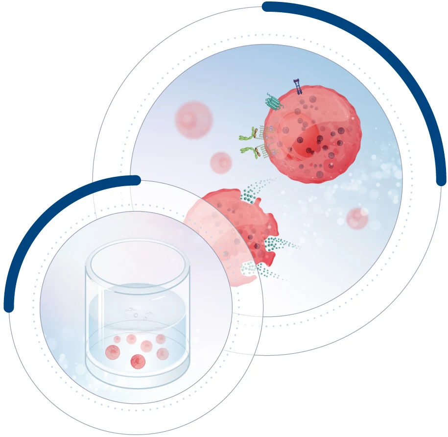 Unlock new research potential with our reliable human primary mast cells now available for your experiments