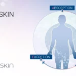 Human skin in ADME (Absorption, distribution, metabolism, excretion) testing