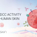 Prove ADCC Activity in Real Human Skin