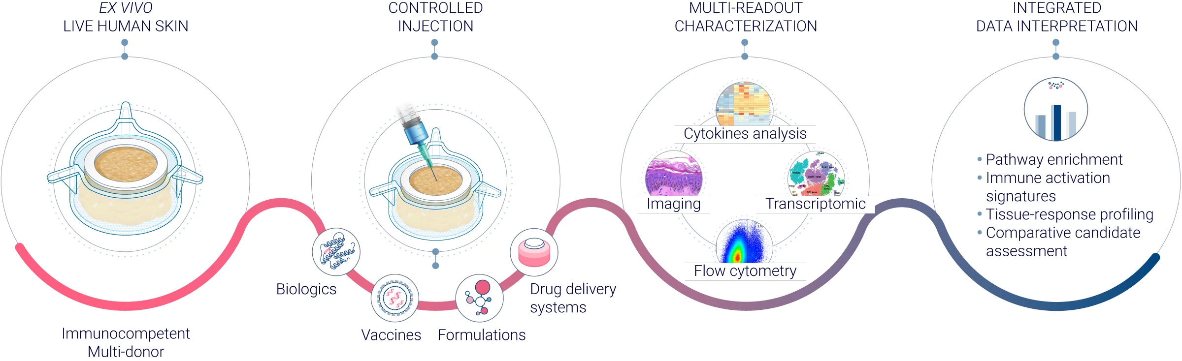 Diagram illustrating the workflow of the ImmunoSafe: ISR Platform for non clinical safety assessment, showcasing the interaction of therapeutic compounds with human immune cells in an ex vivo environment, powered by advanced computational safety analysis and utilizing a cohort of donors for comprehensive immune response evaluation.