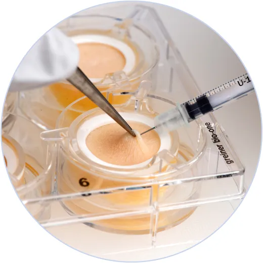 Controlled intradermal injection Controlled intradermal injection. Administration into ex vivo human skin in a multi-well plate for injection site reaction analysis.