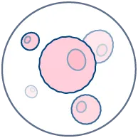 Human primary mast cell preparation for study