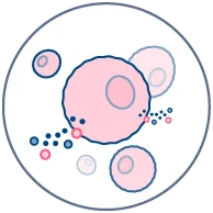 Human mast cell degranulation following compound exposure