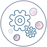 Efficacy and mechanism investigation using human mast cells