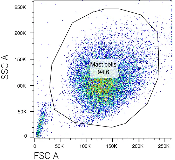 Phenotyping of mast cells