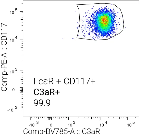 Phenotyping of mast cells