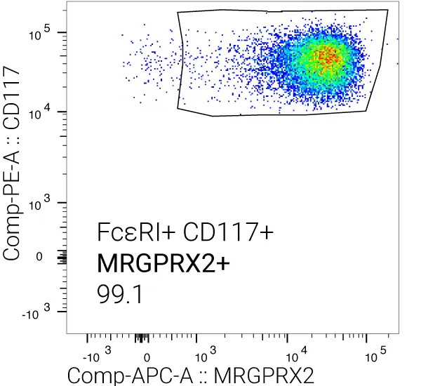 Phenotyping of mast cells