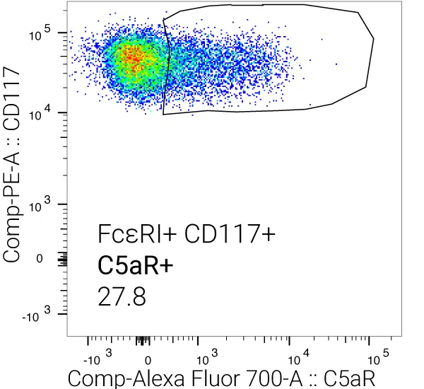 Phenotyping of mast cells