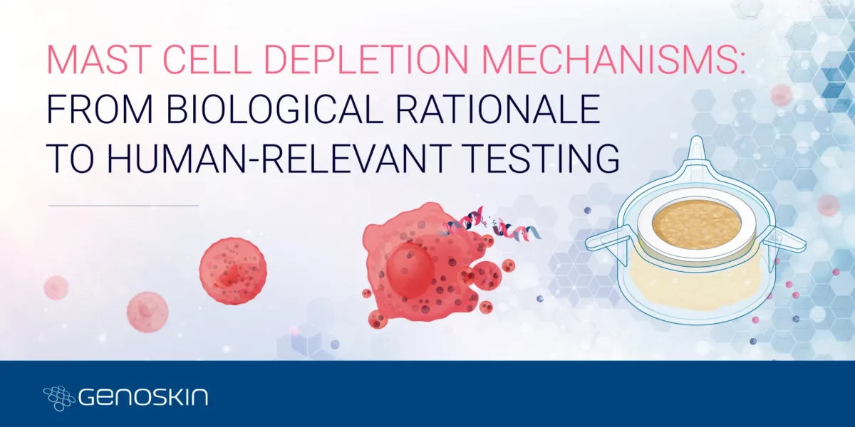 Mast cell depletion mechanisms