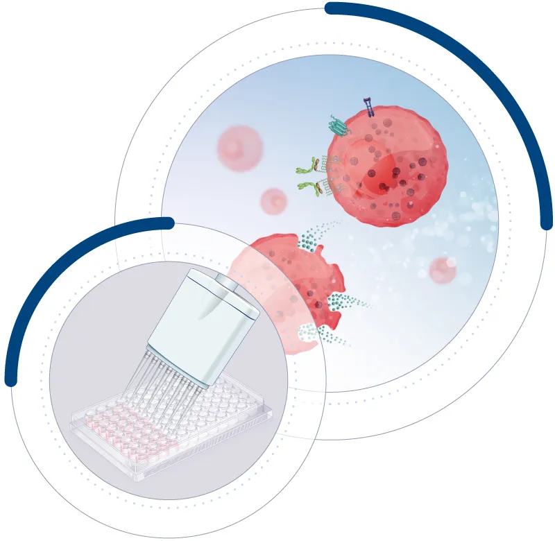 Human mast cells