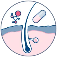 Drug efficacy & toxicity assessment Drug efficacy & toxicity assessment