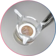 HS Skin 11 mm biostabilized HS models
